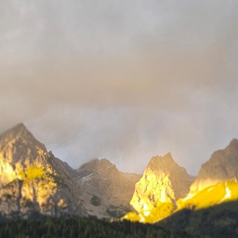 Bio-Bauernhof Einberghof - Apartment mit Blick auf die Berge - 1