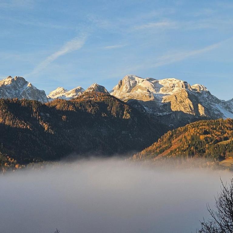 Bio-Bauernhof Einberghof - Apartment mit Blick auf die Berge - 26
