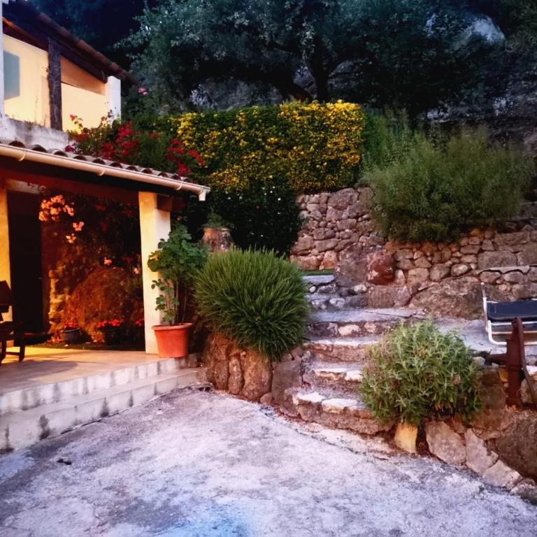 Les Chenes Biot - Studio with Terrace - 1