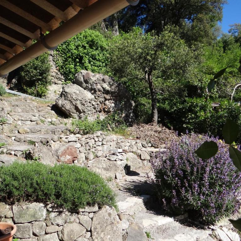 Les Chenes Biot - Studio with Terrace - 5