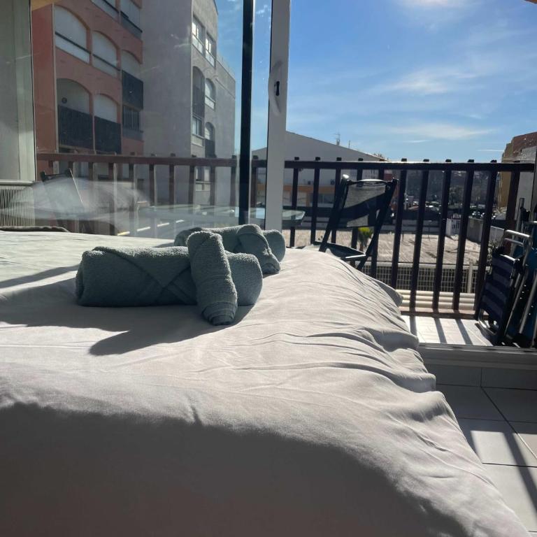 Studio cosy Cap D Agde - Studio - 6