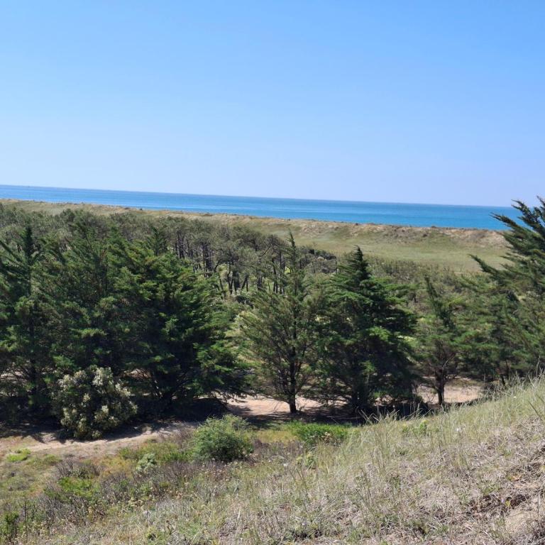 RIEZ Entre Mer et Dunes - Appartement 1 Chambre - 12