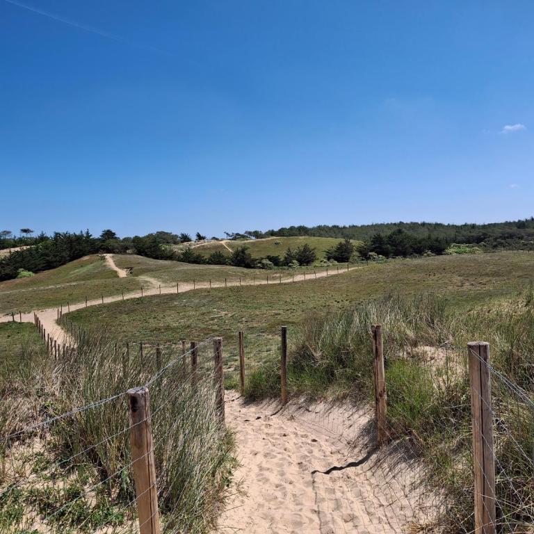 RIEZ Entre Mer et Dunes - Appartement 1 Chambre - 15
