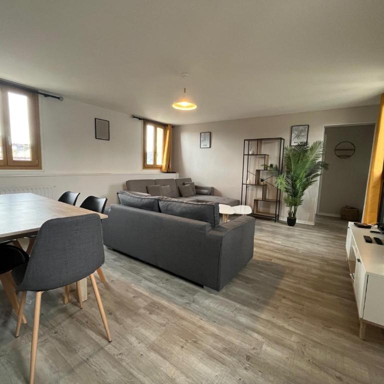 Bel appartement lumineux - quartier La Doutre - 4 personnes - - Apartment - 7