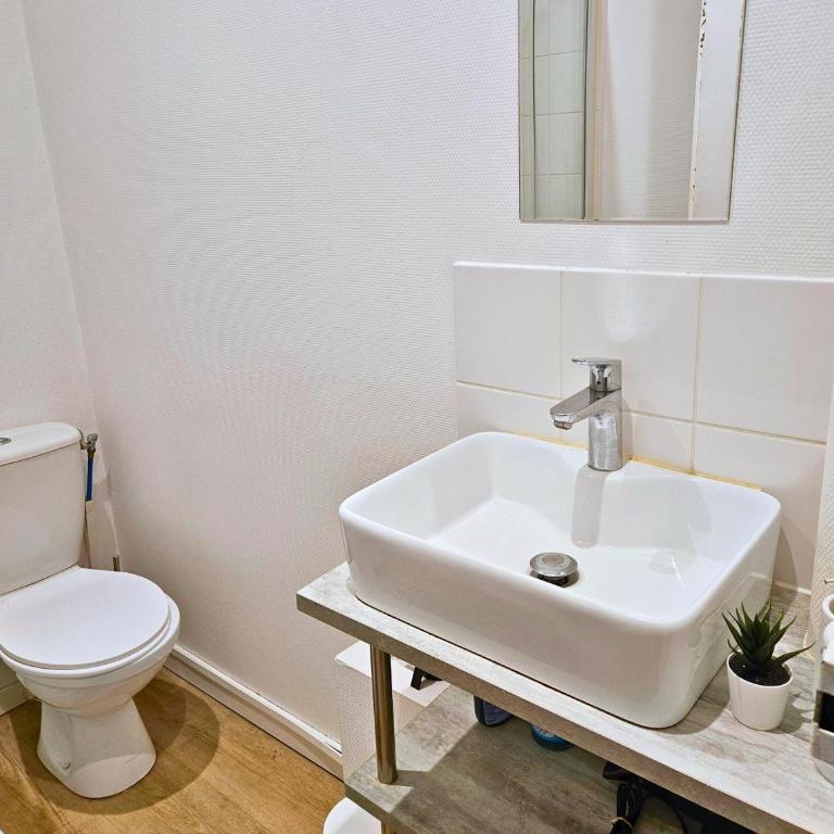 Nid Landais - Centre - Confort - Spacieux - Appartement 1 Chambre - 14