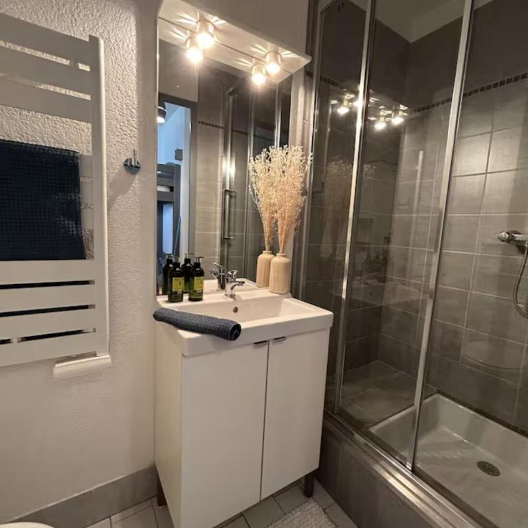 Studio vue port Carnon - à 2 pas des plages - Apartment mit 2 Schlafzimmern - 5