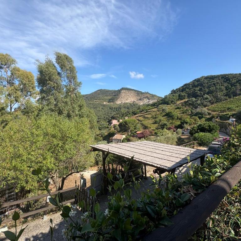 Casa Santa Lucia - Appartamento con Vista Giardino - 25