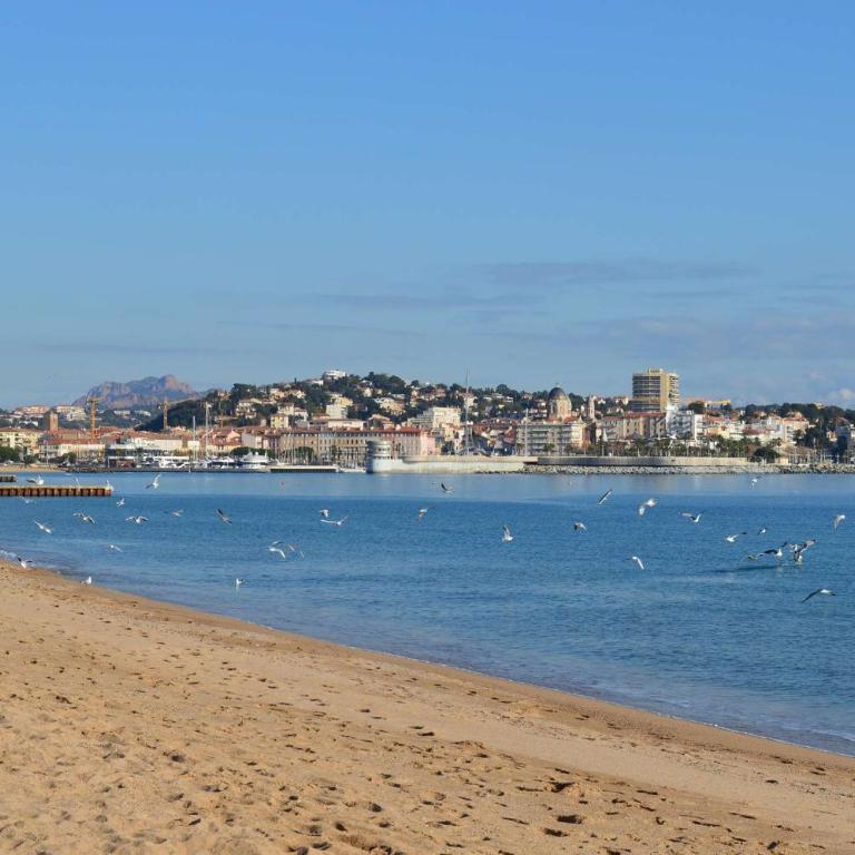 FS010-4106 Appt 2 pièces 4 personnes FREJUS - Apartamento de 1 dormitorio - 12
