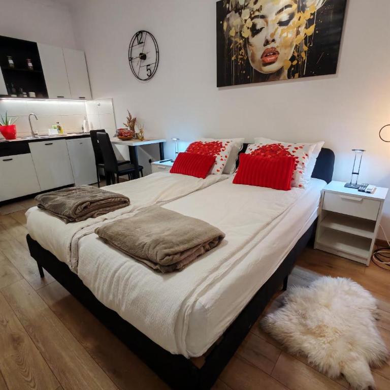 Central cozy cute studio - Apartman sa 1 Spavaćom Sobom - 1