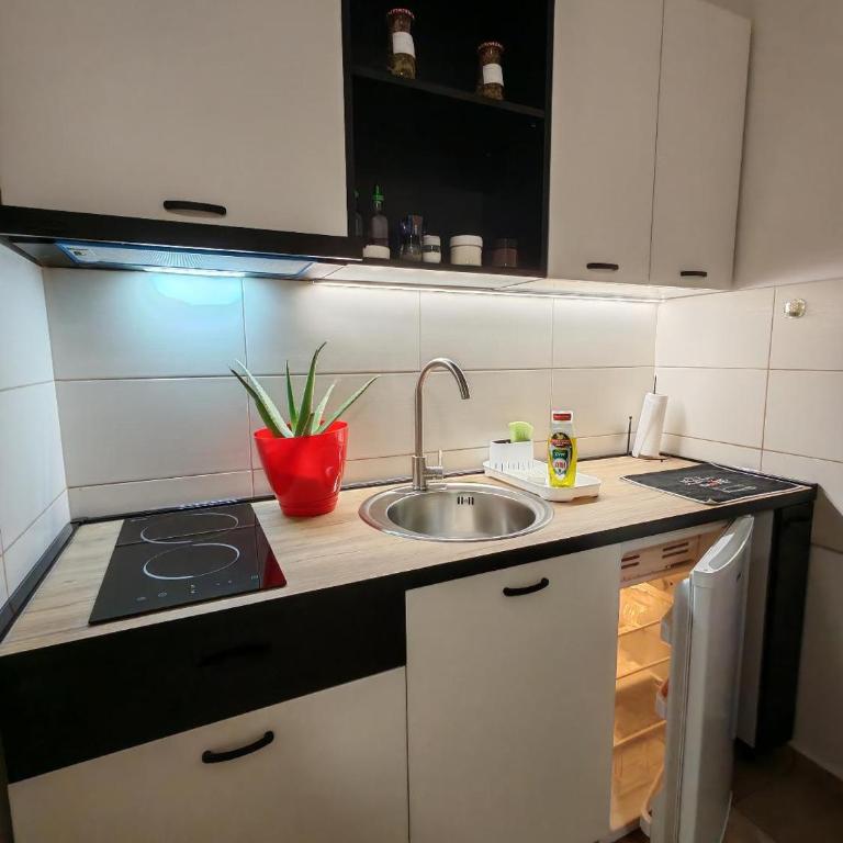 Central cozy cute studio - Apartman sa 1 Spavaćom Sobom - 7