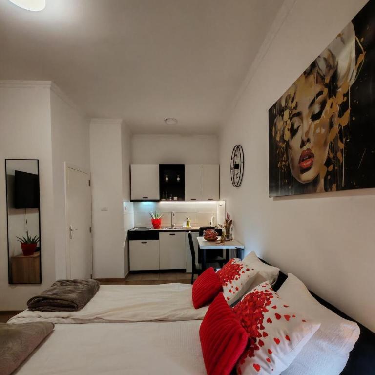 Central cozy cute studio - Apartman sa 1 Spavaćom Sobom - 8