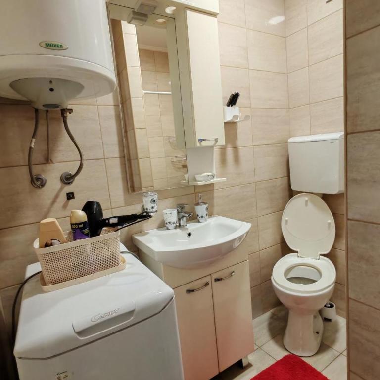 Central cozy cute studio - Apartman sa 1 Spavaćom Sobom - 9