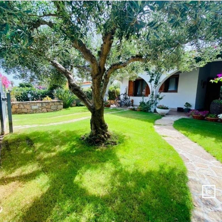 BeLocations - Villa a San Teodoro con piscina privata - Villa con 3 Camere da Letto - 21