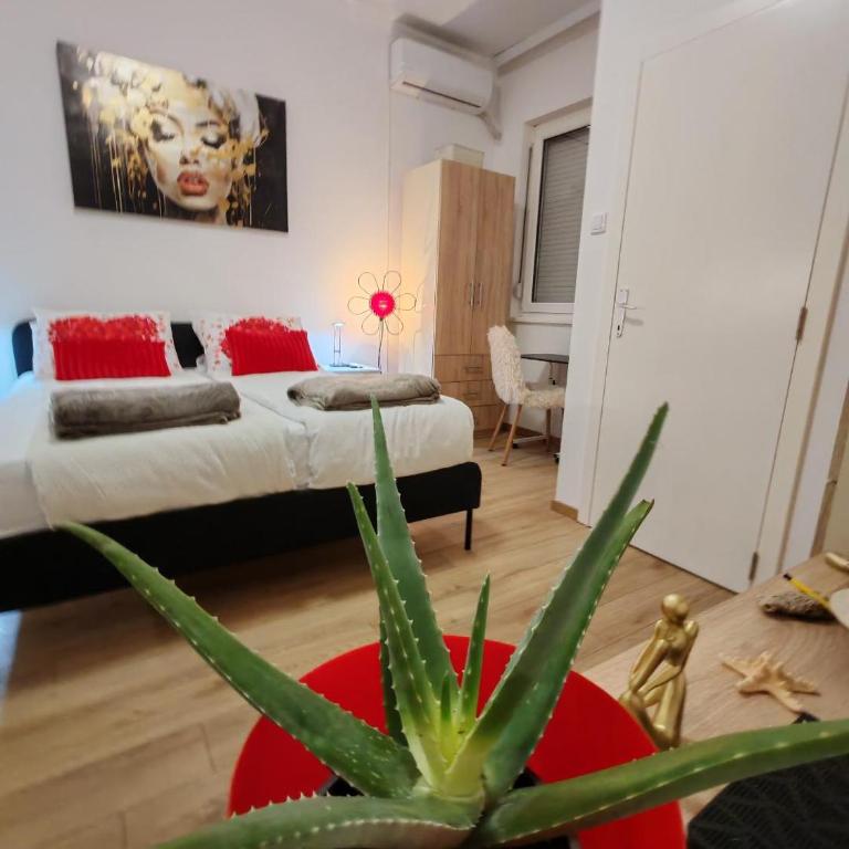 Central cozy cute studio - Apartman sa 1 Spavaćom Sobom - 6