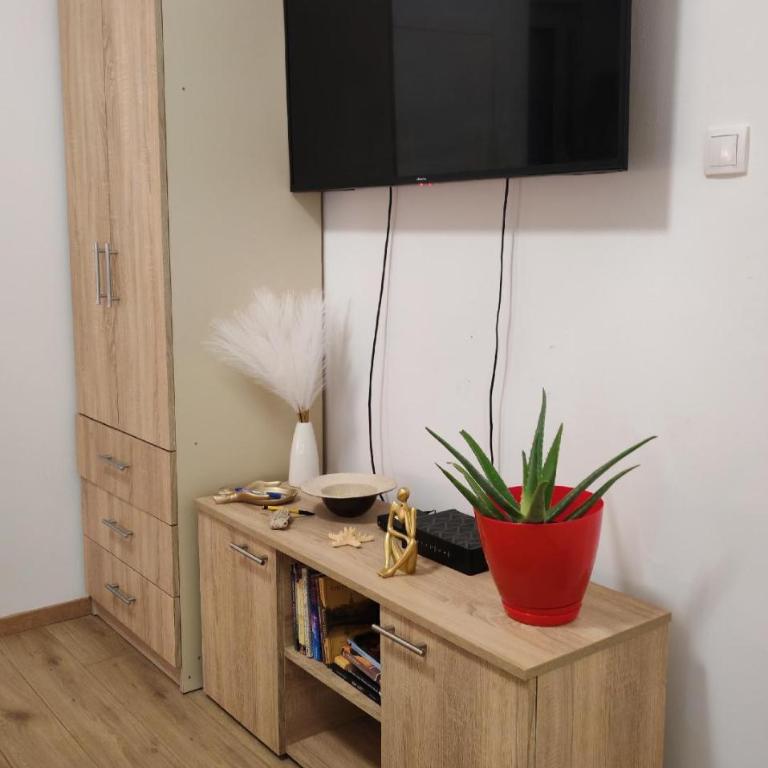 Central cozy cute studio - Apartman sa 1 Spavaćom Sobom - 11