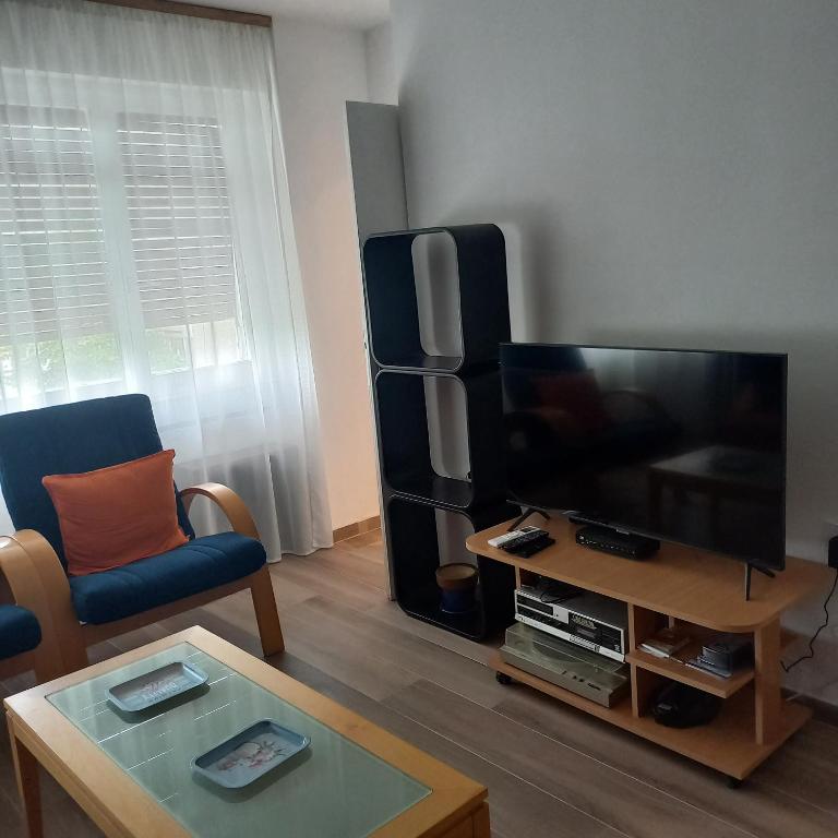 Stan u najlepsem delu Novog Sada - One-Bedroom Apartment - 13