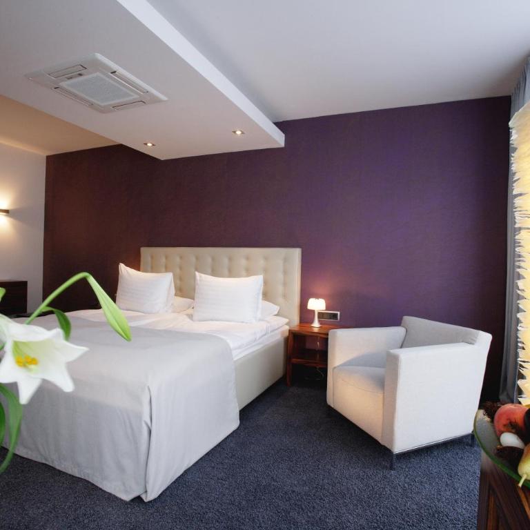 Hotel Erzgiesserei Europe - Habitación Doble Confort - 7