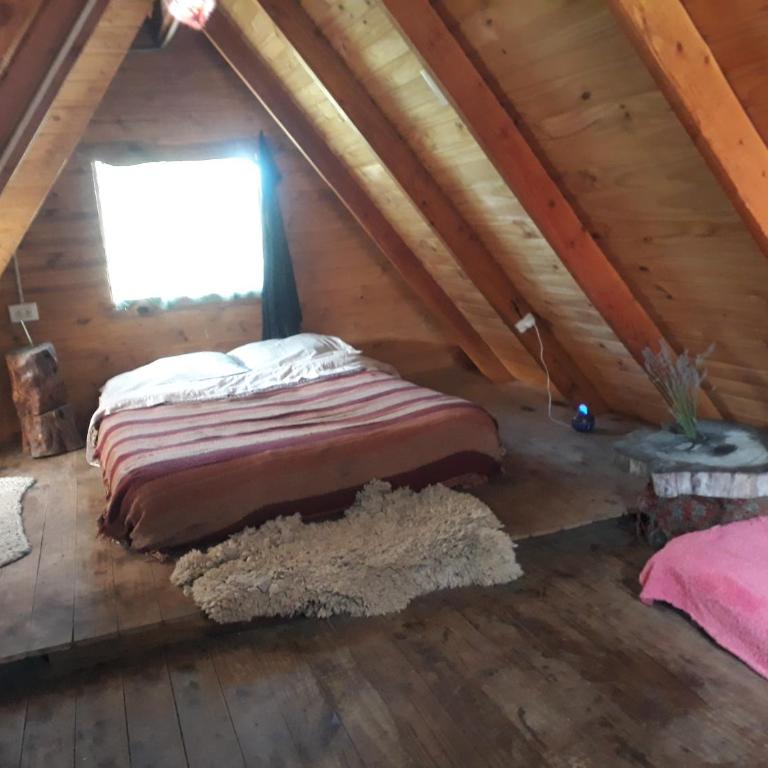 Refugio Holístico Flora Boreal - Bed in 4-Bed Mixed Dormitory Room - 1