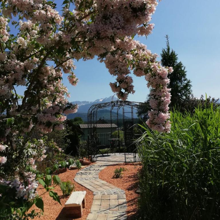 Ferienwohnung Albel - Apartment mit Gartenblick - 21