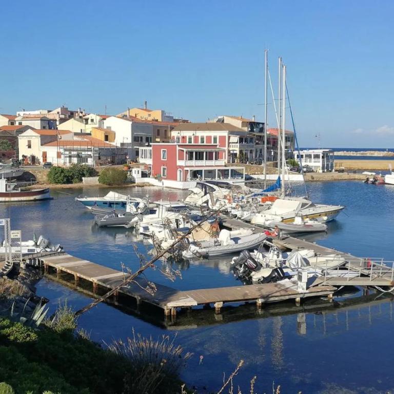Accommodation just steps away from Cala Lupo - Appartamento - 24