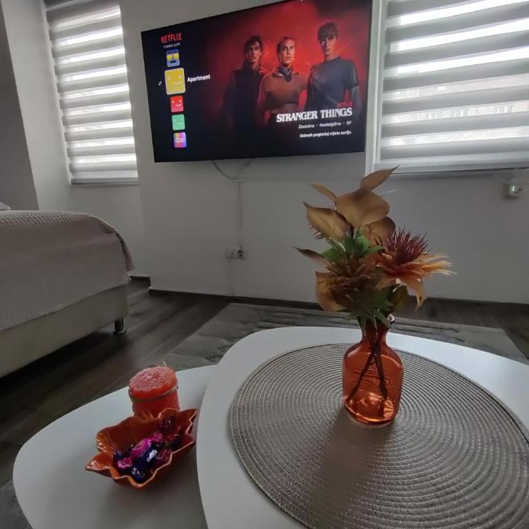 Apartman Nidal - Apartman sa 1 Spavaćom Sobom - 6