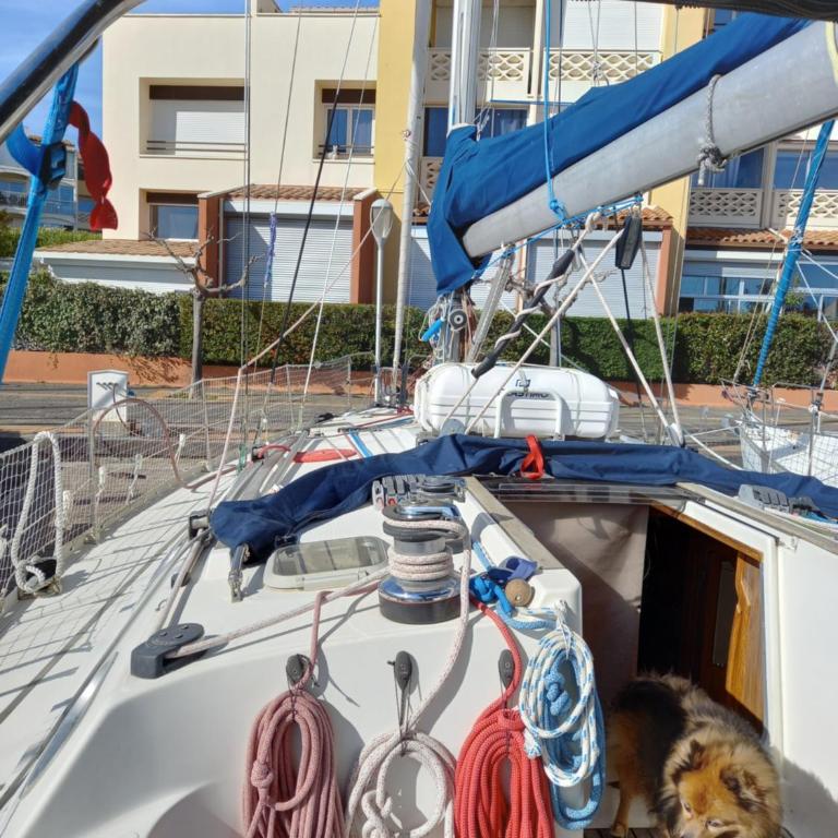VOILIER Sun Odyssey 42 - Mobile Home - 7