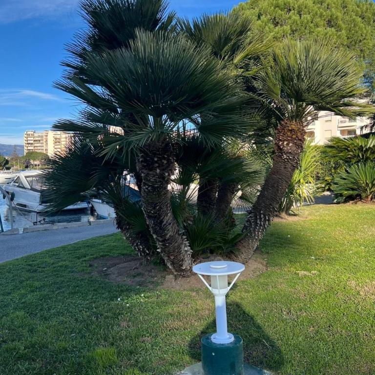 Bright apartment with pool in Mandelieu - Apartment - 17