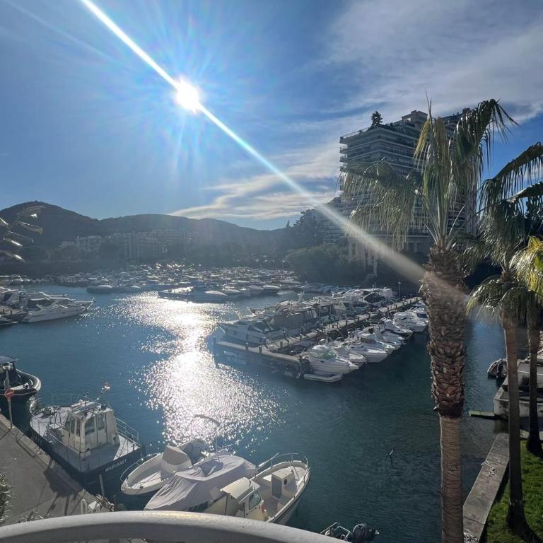 Bright apartment with pool in Mandelieu - Apartment - 20