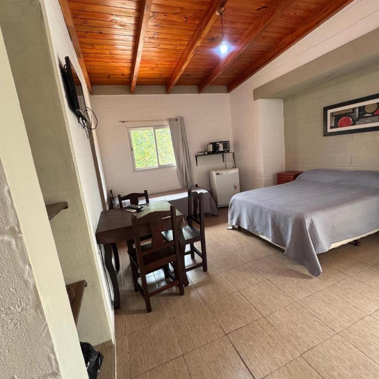 El Teyu - Apartamento de 1 dormitorio - 4