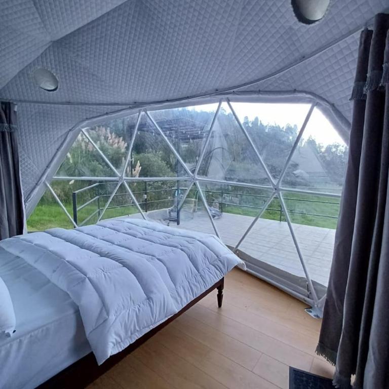 Cachihuayco Glamping & Ecolodge - Apartamento de 1 dormitorio - 7