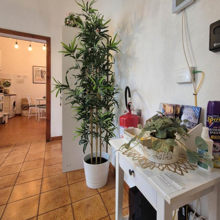 Tower Pisa Suite with terrace - Appartamento con 1 Camera da Letto - 17