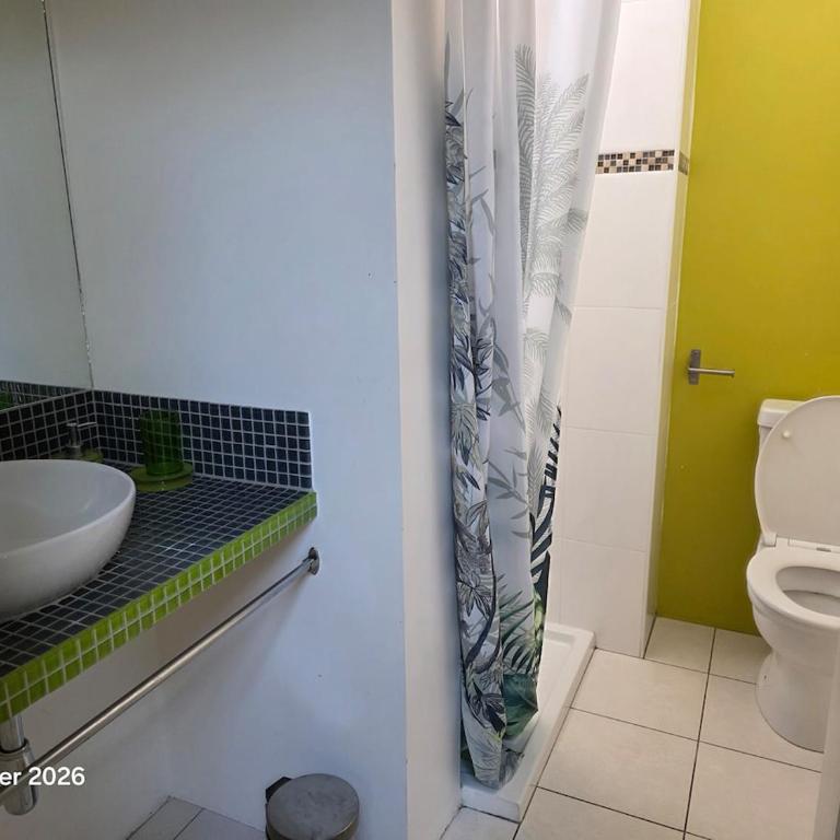 Spacieuse villa au calme avec grande piscine - Villa - 38