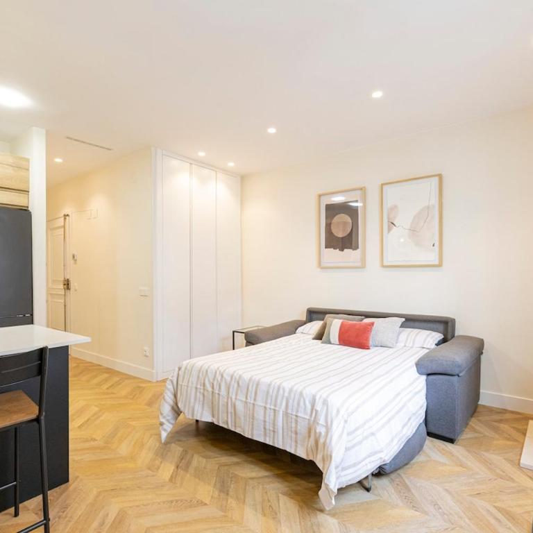 Spacious apartment 15 minutes from Puerta del Sol - One-Bedroom Apartment - 15