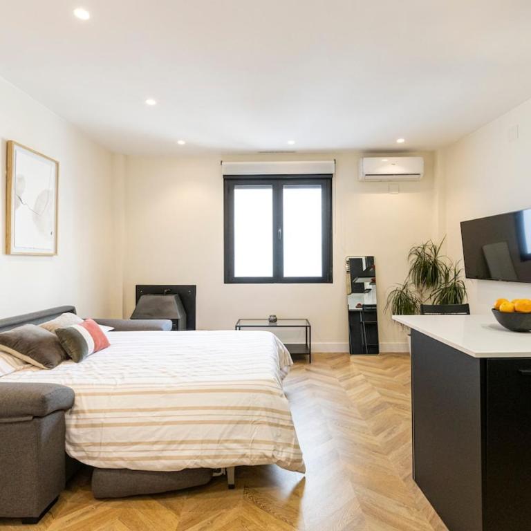 Spacious apartment 15 minutes from Puerta del Sol - One-Bedroom Apartment - 25
