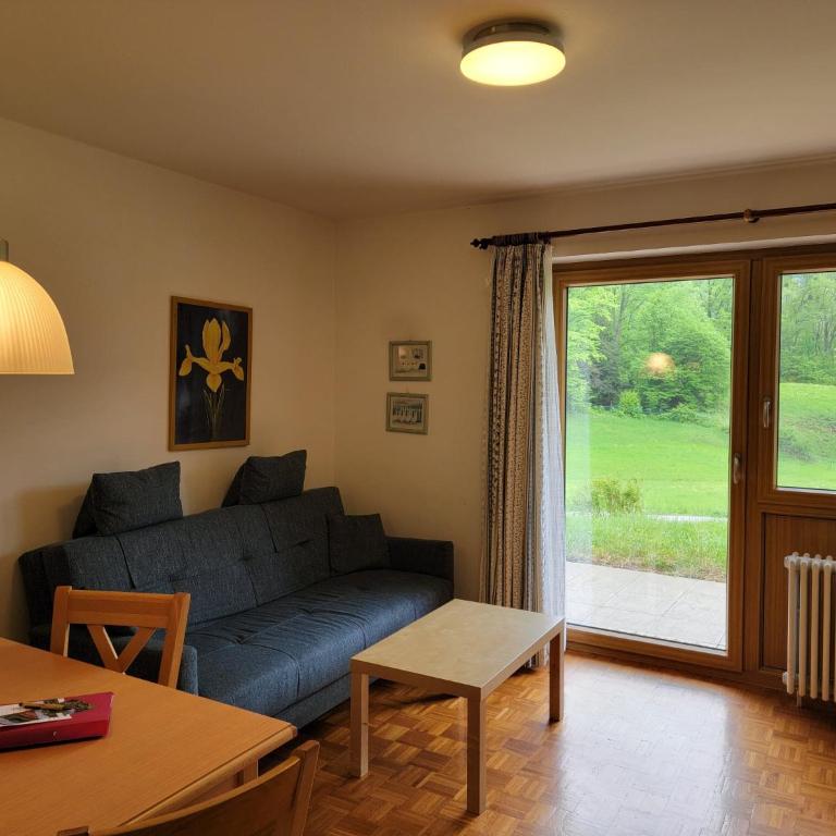 Landhaus Fellnerbauer - Apartment mit Terrasse - 7
