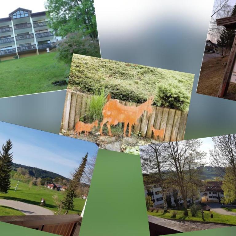 Ferienwohnung deine Auszeit im Allgäu - Apartment mit Balkon - 6