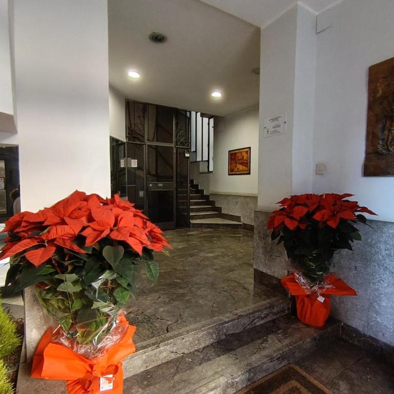 Bellammari Holiday House - Appartamento con 1 Camera da Letto - 45