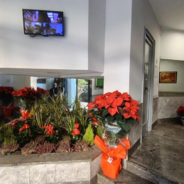 Bellammari Holiday House - Appartamento con 1 Camera da Letto - 46