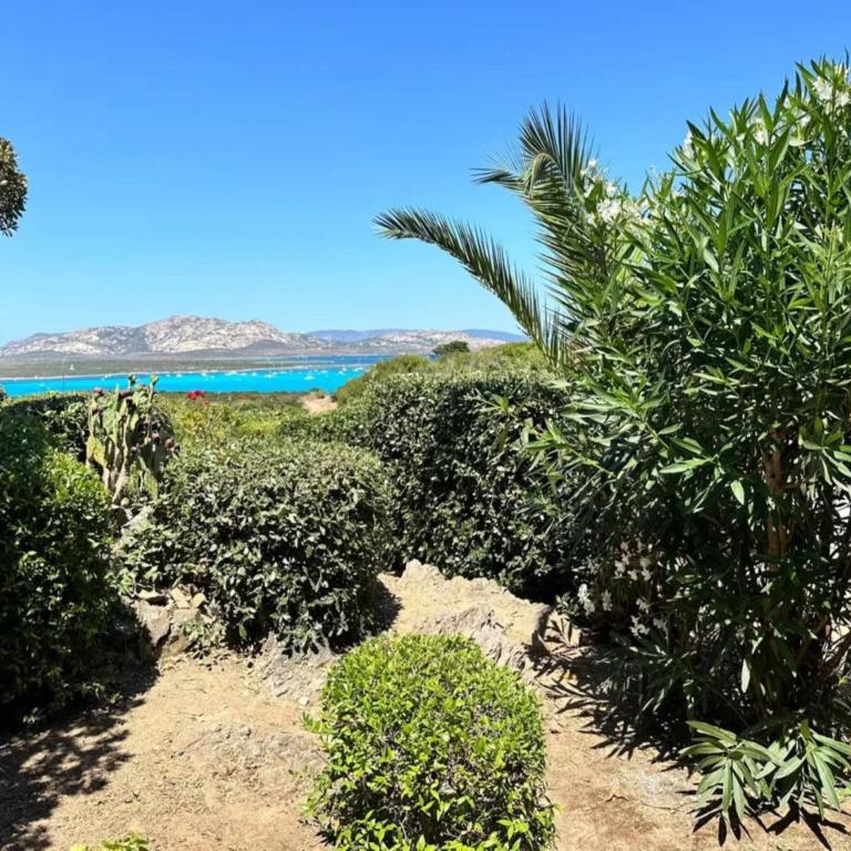Stunning sea view in a private setting - Villa - 17