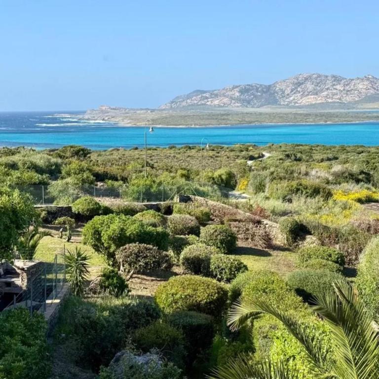 Stunning sea view in a private setting - Villa - 21