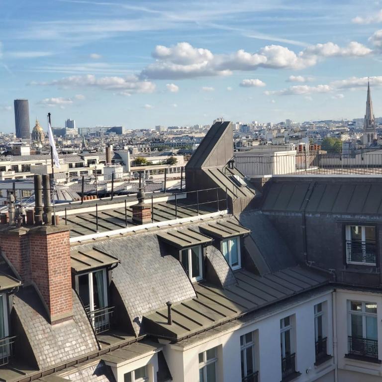 Terrasse Champs Elysees - Panoramic views minutes from Champs Elysees - Appartement - 45