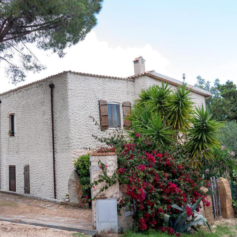 Casa Siccas - Apartment - 30