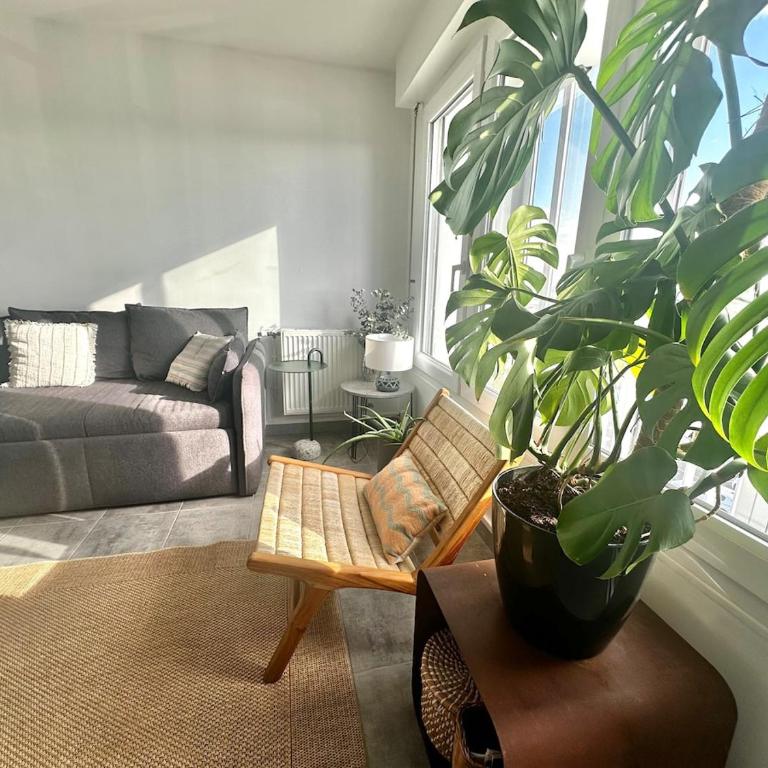 MARIN - Appartement 6 pers avec loggia à deux pas de la plage - Apartamento de 2 dormitorios con vistas - 16