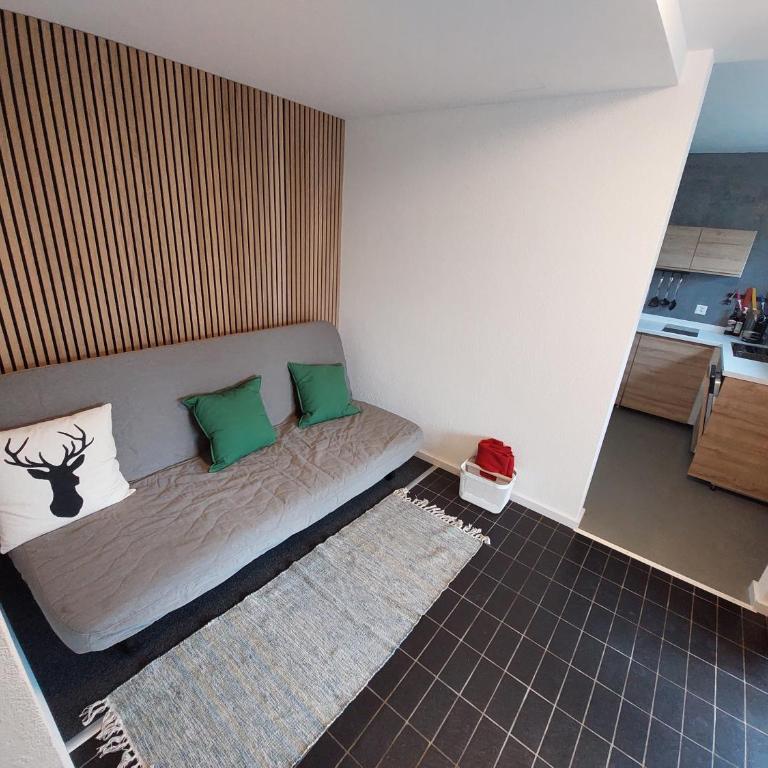 Wohnung für 2-4Personen nahe Grindelwald, Jungfrau Skigebiet in 20Minuten mit dem Zug erreichbar - Apartment mit 1 Schlafzimmer - 5