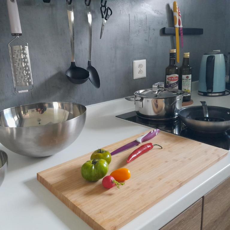 Wohnung für 2-4Personen nahe Grindelwald, Jungfrau Skigebiet in 20Minuten mit dem Zug erreichbar - Apartment mit 1 Schlafzimmer - 9