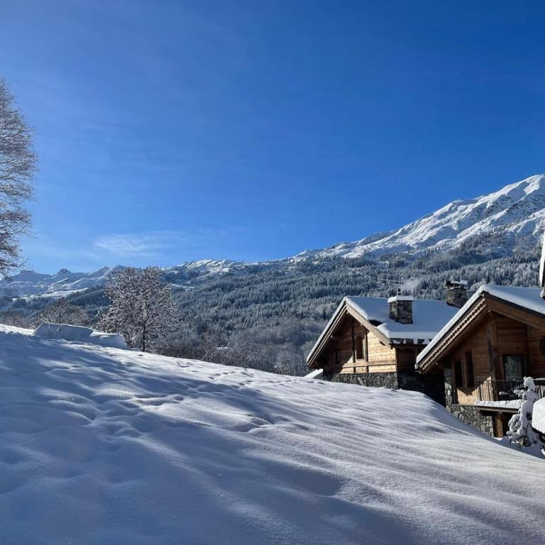 Chalet Mademoiselle - Chalet - 4