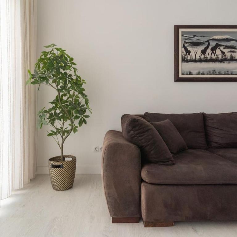 Nice Bungalow with Two Bedrooms - Bungalow - 26