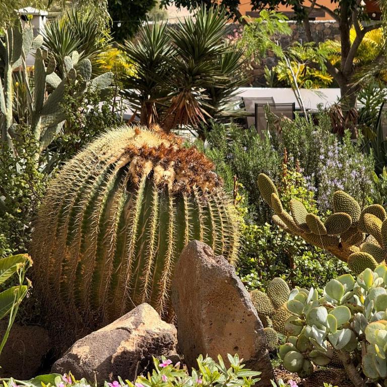 Home2Book Casa Julianna, Dream Oasis with Pool - Casa de 3 dormitorios - 66