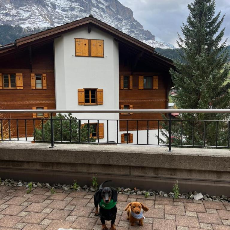 Wohnung Homely - Nähe Grindelwald Terminal - Apartment mit 1 Schlafzimmer - 15