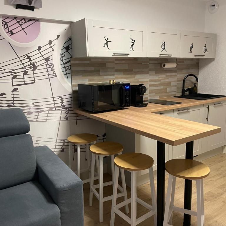 Studio Music Blue - Bourgoin Centre - Queen Studio - 9